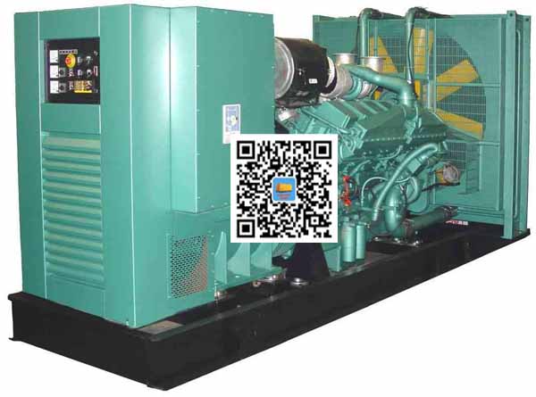 徐水笼型异步发电机的电力电子控制技术